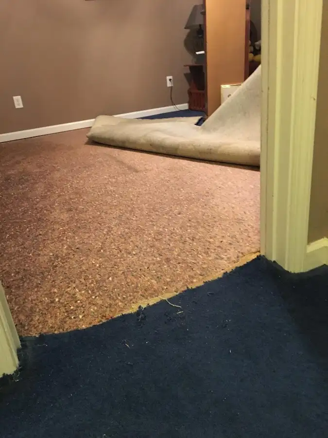 Carpet pad removal revealing water damage during Water Mitigation Services in Bonham