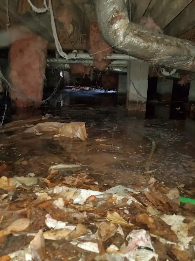 Crawl space flood assessment for Leak Detection & Repair in Bonham