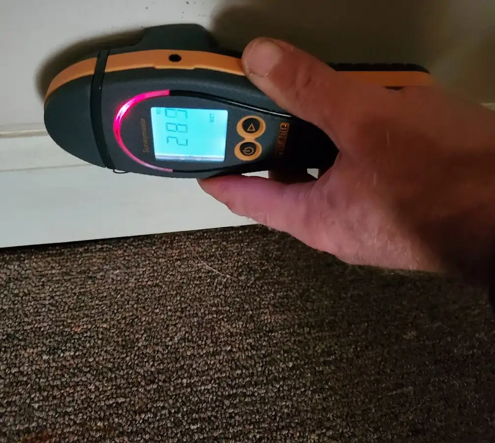 Moisture detection at baseboard during Burst Pipe Cleanup in Bonham